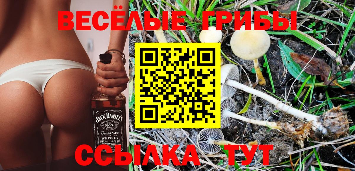 Галлюциногенные грибы GOLDEN TEACHER Кумертау